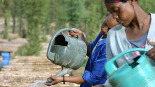 Photocircle's afforestation project in Ethiopia