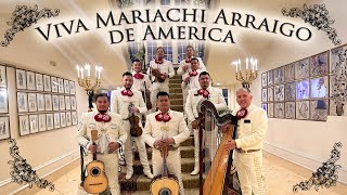 Viva Mariachi Arraigo de America 🎺🎸