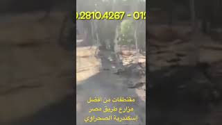 من افضل مزارع طريق مصر اسكندرية الصحراوي