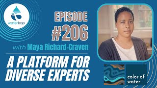 #206: A Platform For Diverse Experts