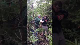 Bear Takes Crap on Hunters Head