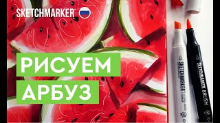 Рисуем арбуз маркерами SKETCHMARKER!