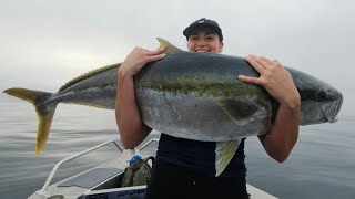 rhiannon catches big kingfish and we smoke it