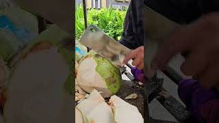 Fantastic! Fresh coconut cutting skills. #shorts #coconut #satisfying #fruit #viralvideo #short