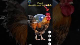 I Found Giant Chicken is Real🐔😳😱On Google Earth #shorts #google #googleearth #googlemaps #viral