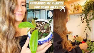 Preparing my Plants for Going on Holiday | Plant Care Vlog