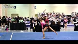 Delanie Kelly 9.75 Floor Development Program National Championships