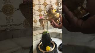 Har Har Mahadev, Om Namah Shivay..#mahadev #bholenath #omnamahshivayah #harharmahadev #hindutemple