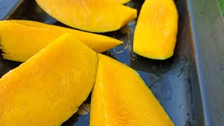 fruit in amrut short video 😍.. #mango #fruit #farming #new #nature #shortvideo #shots #ymy