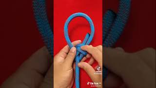 Basic Knots