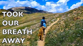 Collegiate West took our breath away, Literally | Colorado Trail, hiking with kids