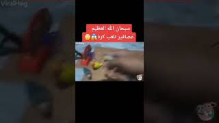 عصافير بتلعب كورة؟