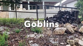 Goblins (A Short Film)