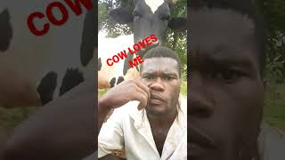 cow loves me #shorts #military #subscribe #trending#jay#jimin #jayaplus