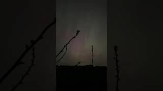 Northern Lights Time Lapse