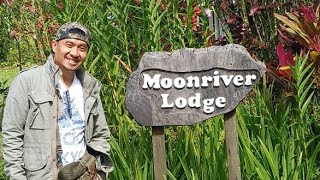 moonriver lodge