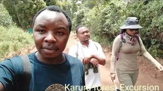 Karura forest day trip