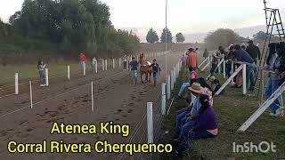 Gran Triunfo De Código Vs Atenea King