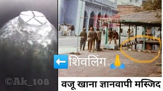 Viral Video of Gyanvapi masjid's Wazu Khana while getting cleaned. #shivling #gyanvapimosque