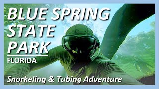 Blue Spring State Park - Snorkeling and Tubing Adventure - July 2019