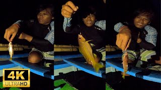 YELLOWTAIL SNAPPER NIGHT FISHING🎣🐟😲