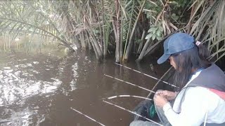 Sempat di buat berdebar ketika ujung pancing tiba² menyelam❗MANCING LIAR UDANG GALAH