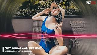 CHẤT PHƯƠNG NAM - ZINZ REMIX || Dh Media Music - Duy Hưng Official