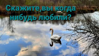 Стихи о любви "Скажите, вы когда -  нибудь любили?" Потрясающе красиво!