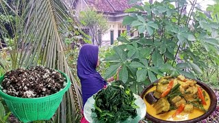 Aktivitas Di Pagi Hari, Memasak Terong Kuah Santan Pedas, Kulupan Daun Singkong Dan Nasi Tiwul