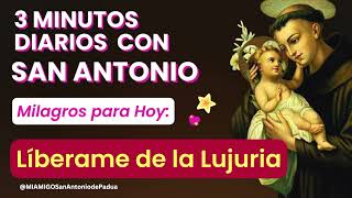 🙏🏻 ⛔️ 3 MINUTOS CON SAN ANTONIO. MILAGROS PARA HOY #lujuria   @MiAmigoSanAntonio