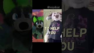 Pov you want to collaborate with other furries #cosplay #funny #costume #duet #fursuiters #fursuit