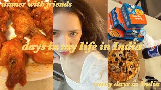 Days in my life | INDIA | : get together after a month , dinner with friends , foods , daily life