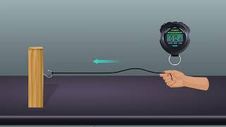 Velocity of a Pulse Propagated Through a Slinky