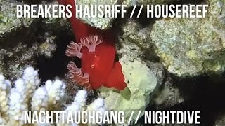 Breakers Hausriff Nachttauchgang // Housereef Nightdive