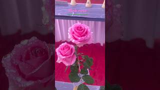 Pink rose #pinkroses #roseflowers #youtubeshorts e