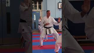 Sensei Jacek Lipinski showcasing Kata Heian Nidan at Kata Squad Training