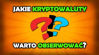 Jakie kryptowaluty warto kupić? [Kwiecień / Maj]