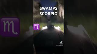 Swamps are Scorpio