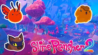 Discovering the pink and blue of Starlight Strand in Slime Rancher 2! [E8]