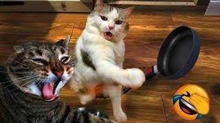 Funny Dogs And Cats Videos 2023😂 | Best Funny Animals 😁