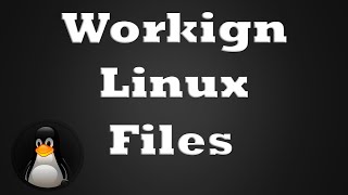 7. Introduction of Linux Files Commands