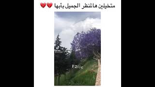 متخيلين ان هذا المنظر بأبها😍🇸🇦