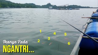 IKAN NILA DI PERMUKAAN AIR . . . MANCING NILA DI DEKAT KARAMNA/KJA