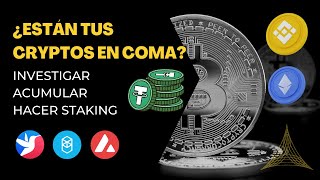 STAKING en BNB CHAIN | Oportunidades que tienes que aprovechar ⭐