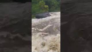 iruvazhinji river, flash water fall #nature #travel #waterfall #music #love