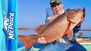 Pesca con CAMARON VIVO y Señuelo con Lupe Lofish || SOYMRPESCA