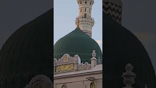 Masjid Nabawi Madinah Makam Rosullulloh Nabi Muhammad ﷺ Raudhoh Taman Surga