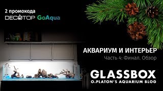 Аквариум и интерьер: 4 - Все готово к запуску