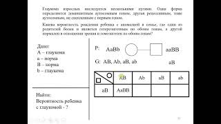 13  Решение задач на комплементарность