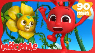 Shrubcub is Sick  | Morphle's Family | My Magic Pet Morphle | Kids Cartoons